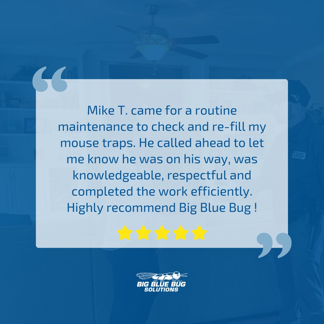 Big Blue Bug tweet media