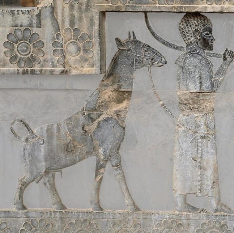 mike_boreas's tweet photo. Nubian Okapi tribute to Xerxes at Persepolis. https://t.co/FmJhIUwNAJ