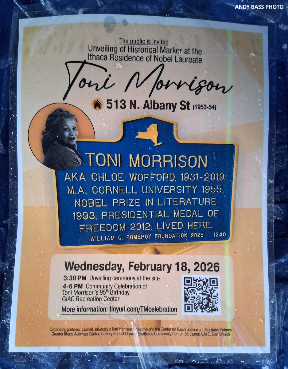 Andy Bass tweet media