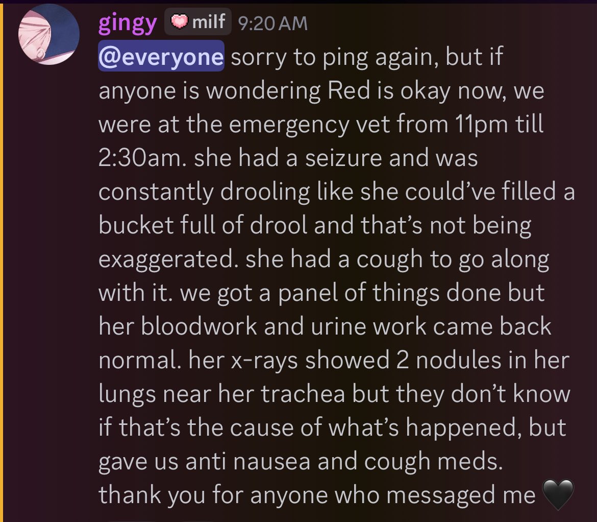 𝓴𝓮𝓷𝔃 ♡ tweet media