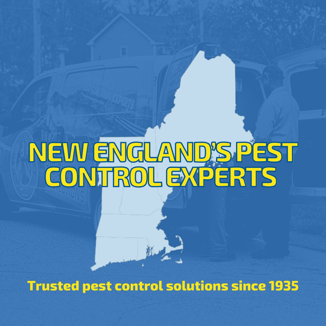 Big Blue Bug tweet media