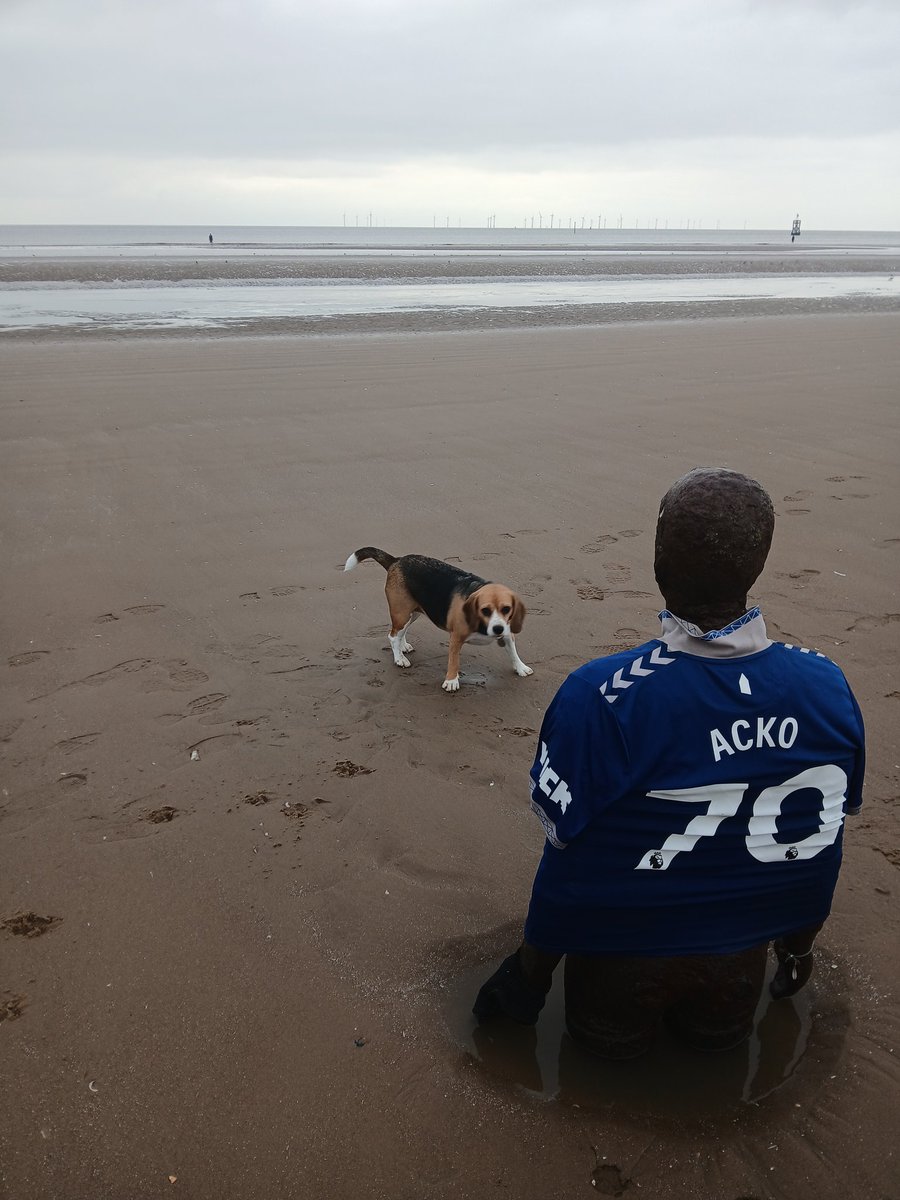 I wandered, lonely as a Beagle at Crosby.