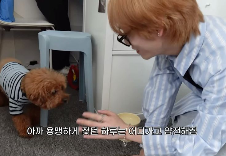 acervo xlov tweet media