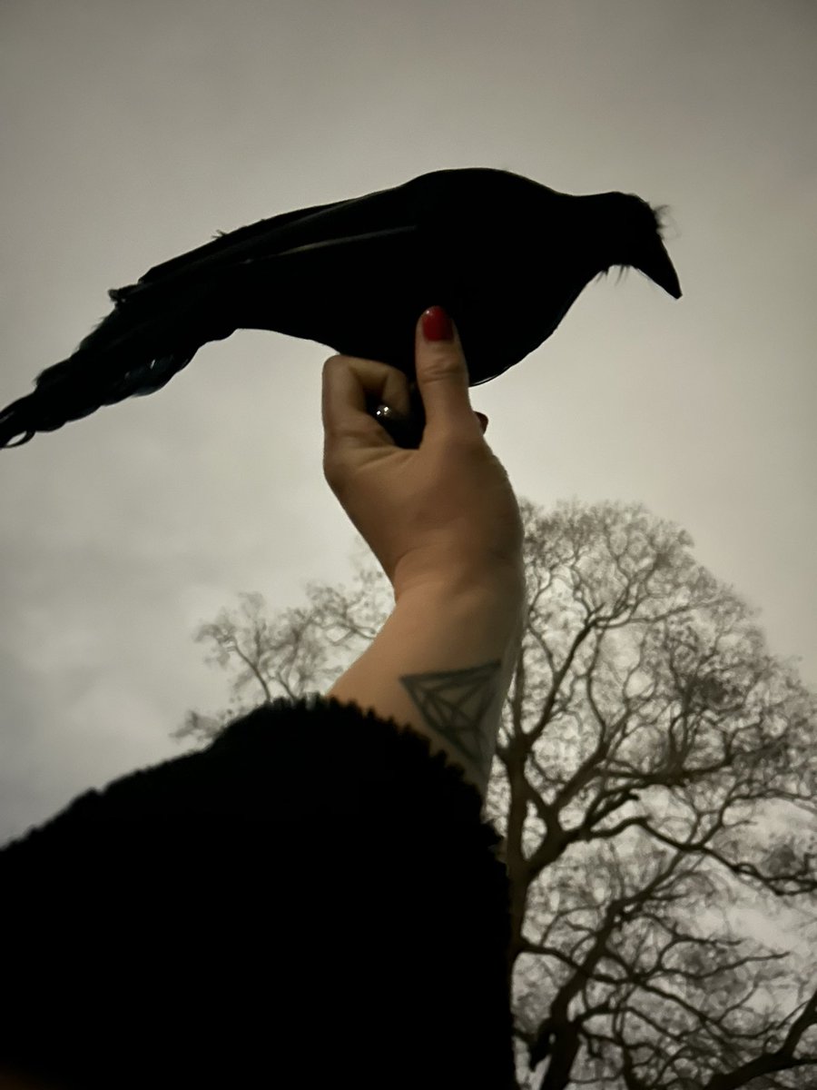 Anesthesia — (Hudson Valley + + +) tweet media