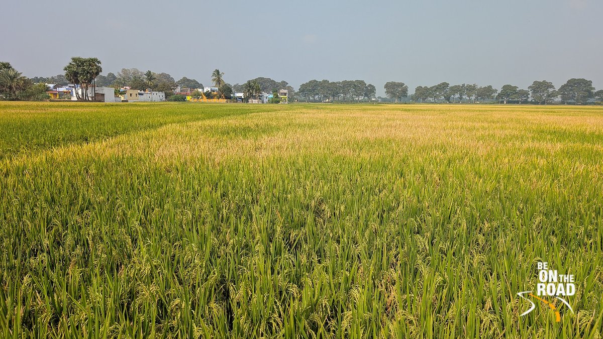 BE ON THE ROAD tweet media