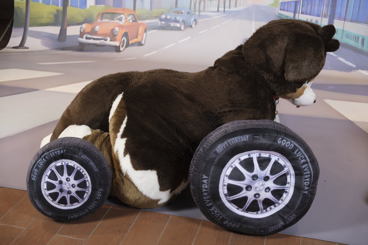 光太郎/阿爾貝爾/아르베르/Albert tweet media