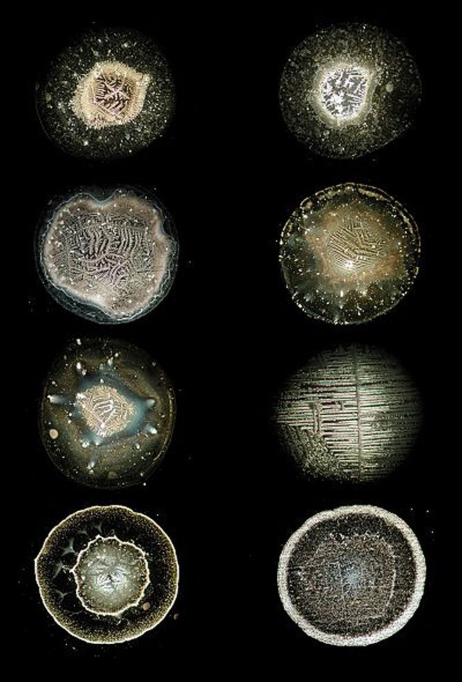 waterdrops000's tweet photo. Water Drops https://t.co/jBNgMU3man