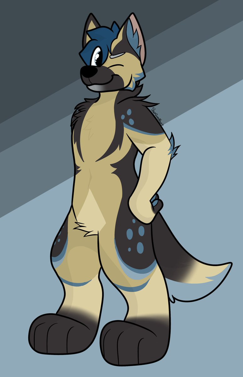 Fullbody for <a href="/KasselShep/">Kassel Shep ➡️Boston (2/15), TFF</a>!