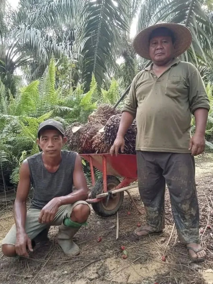 BoomHabill's tweet photo. @kompascom Abis panen https://t.co/CzJ13l8NrD
