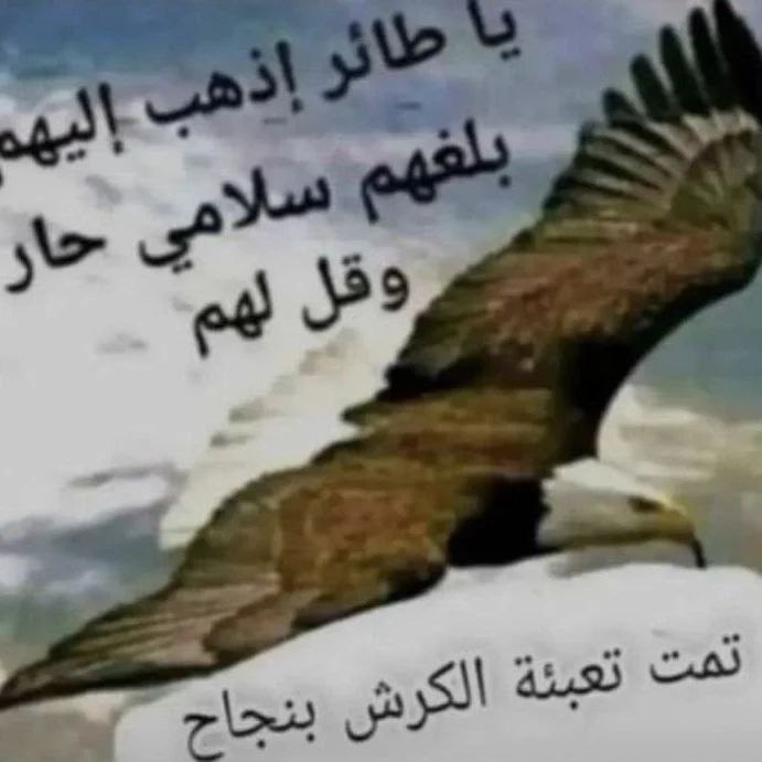 bebar_0's tweet photo. تم تعبئة الكرش بنجاح https://t.co/FPKS8KvN7V