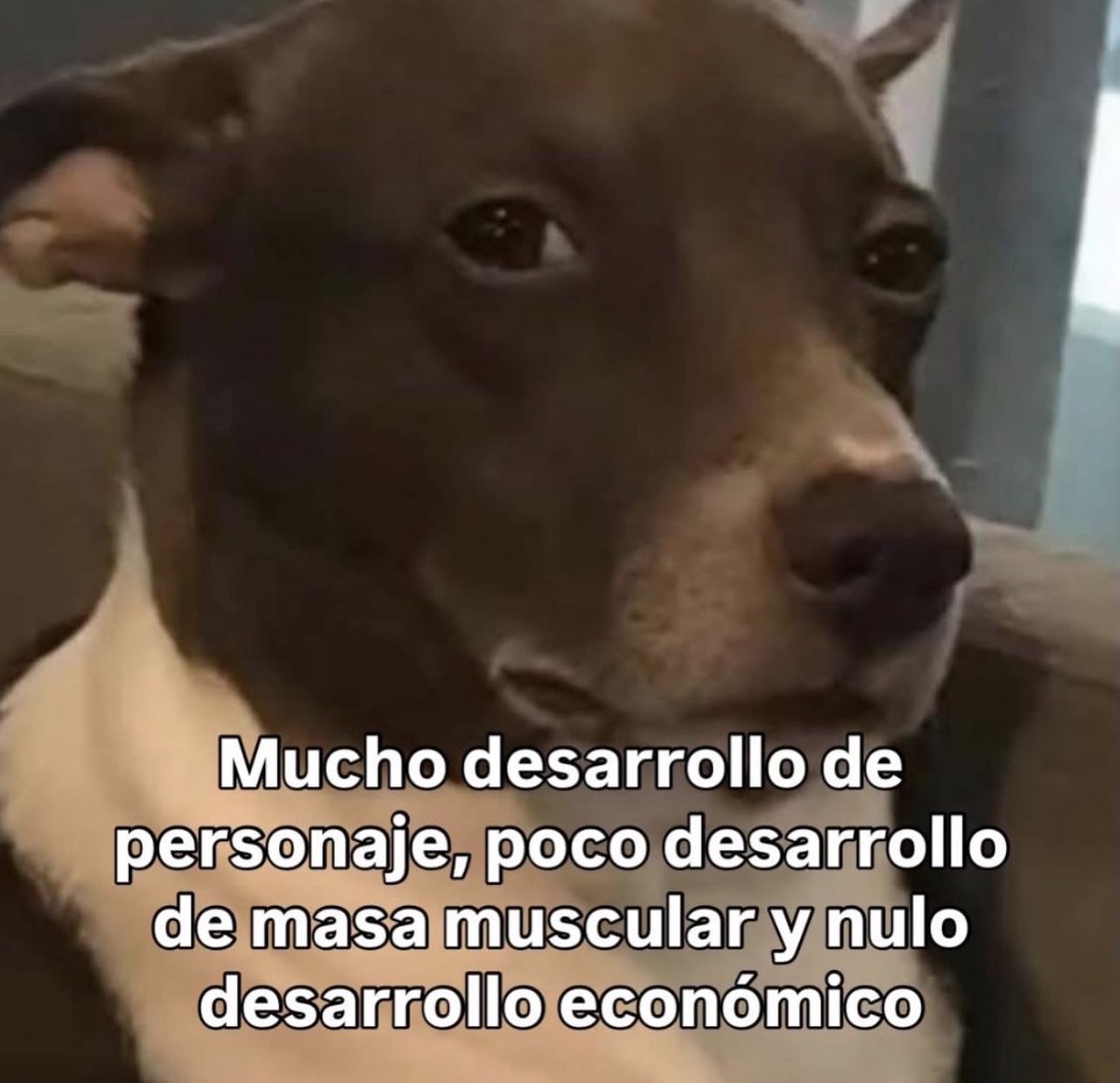 skereunpesado's tweet photo. https://t.co/eyvoWQBMuG