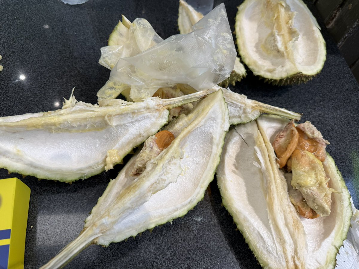 durian is pretty good… consider me a fan ✨