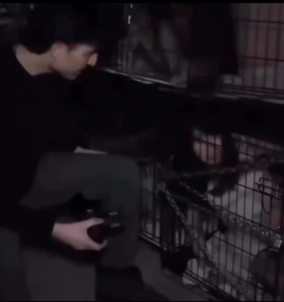 Someone's Son or daughter, our children, to become a victim’s. 

Just ask yourself what did it take for your state representative, your Governor, Judge, Police Departments, Sheriffs, ￼School District, Hospital, Doctor, CPS, &amp; Teachers, to bury￼ the truth? 

How many excuses