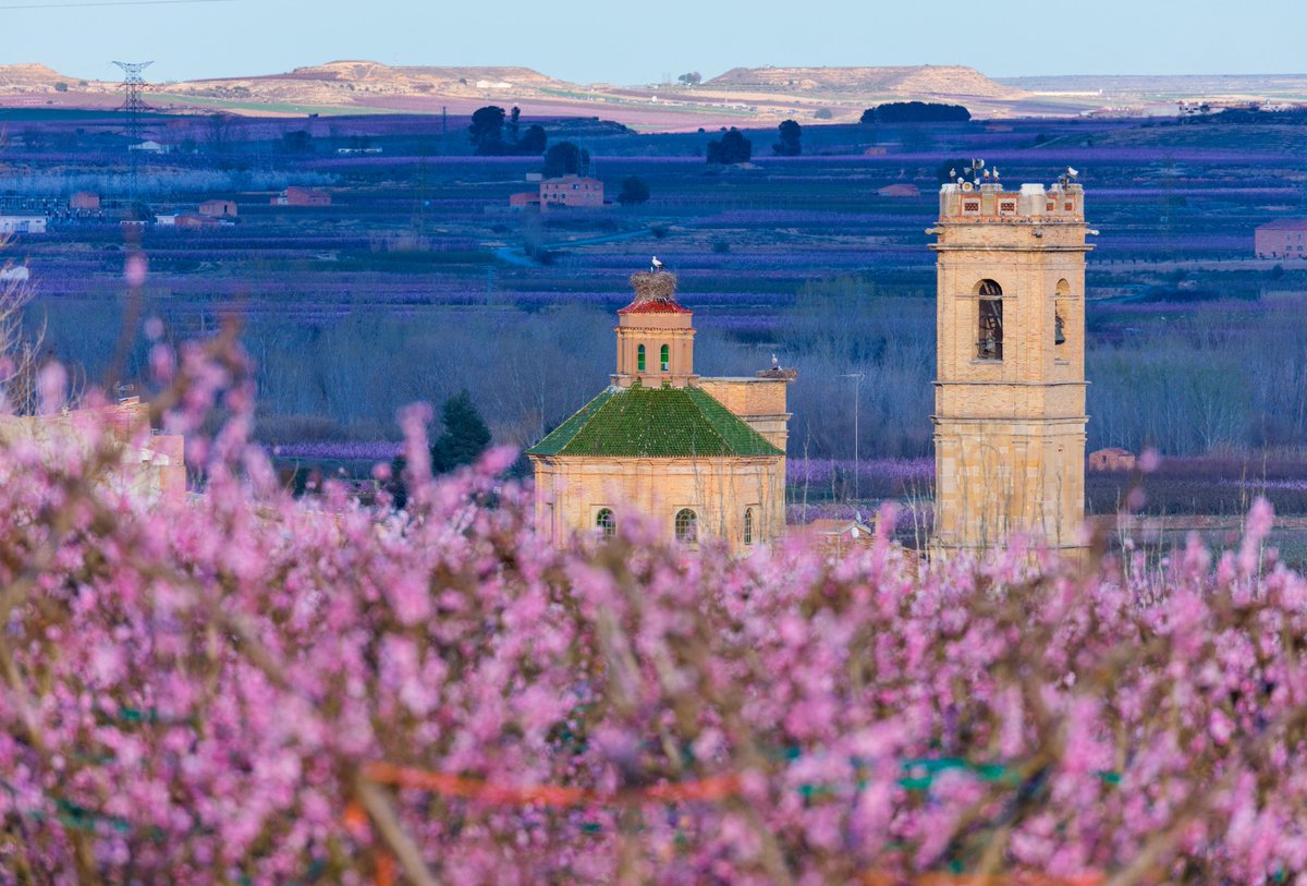 aralleida's tweet photo. 🌸✨ Descobreix la màgia de la floració a Aitona!

Vine el 21 de febrer al Vermut entre flors i deixa’t envoltar pels colors i aromes dels arbres florits 🎶
Un matí ple de natura, música i moments per recordar 🌱💛

Entra a 👉 https://t.co/teYllmGBwW i no et quedis sense la teva reserva!

#AraLleida #BiosphereGoldDestination 🌱 #FloracioADNLleida #ADNLleida 💚🌍
@ajuntamentaitona @fruiturisme @diputaciolleida @rosapujolaitona @SegriaTurisme