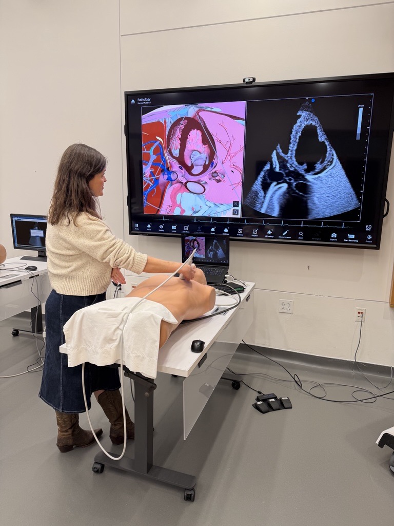 Tennessee Center for Health Workforce Development tweet media