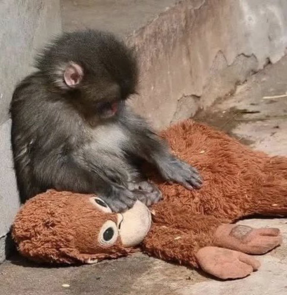 andresmiguer's tweet photo. díganle a mi cerebro que me deje en paz, que deje de pensar tantas cosas malas, que me permita avanzar y darme el tiempo para poder hacerlo https://t.co/9ci20D4X1J