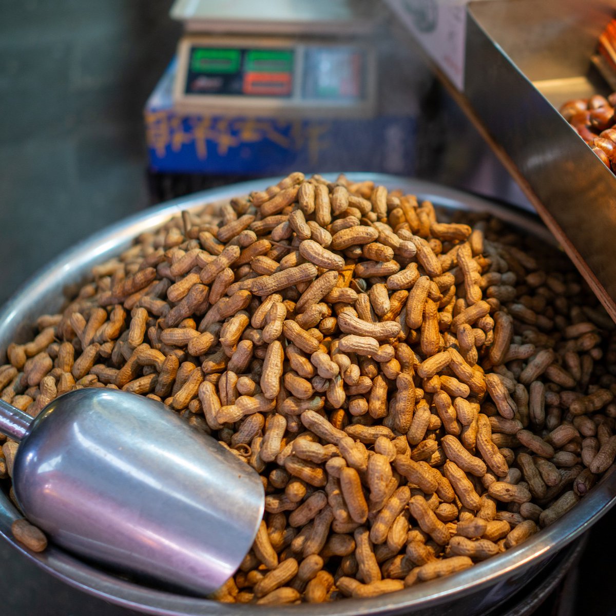 Curiosity tweet media