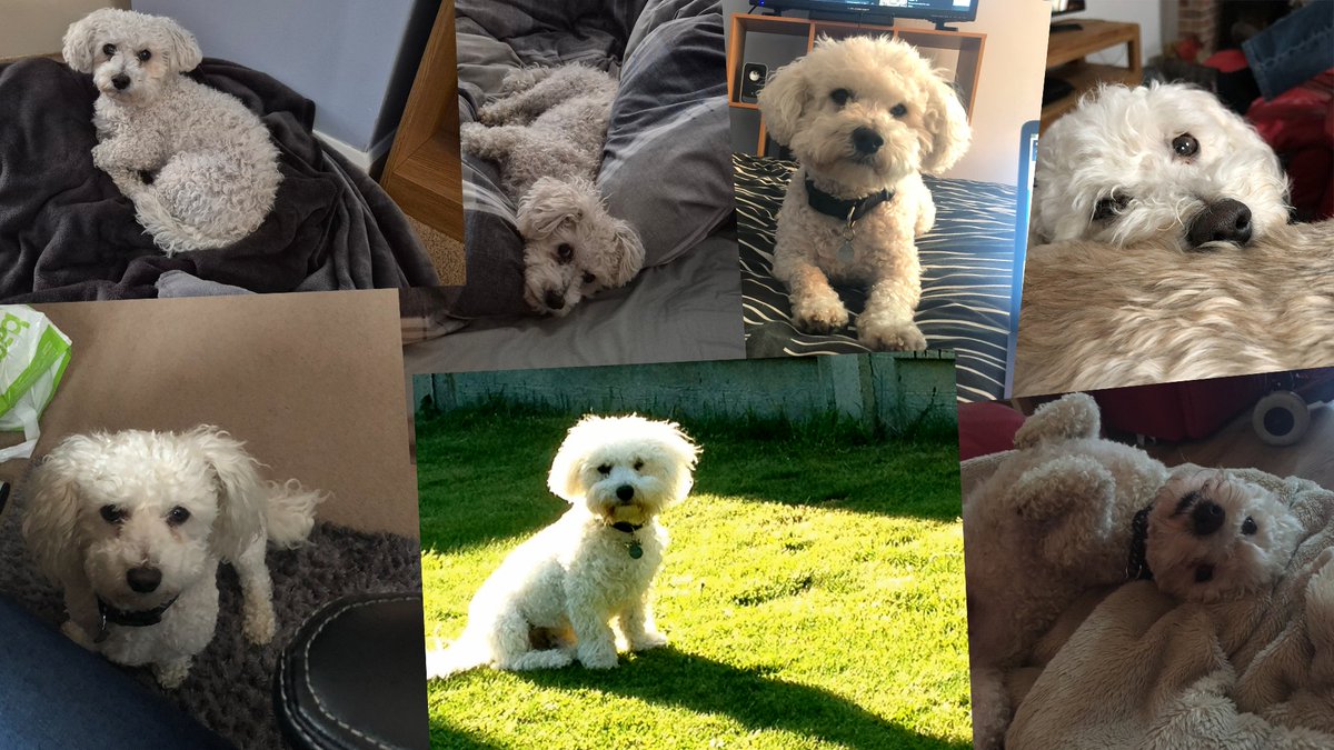 Craig 🌙 tweet media