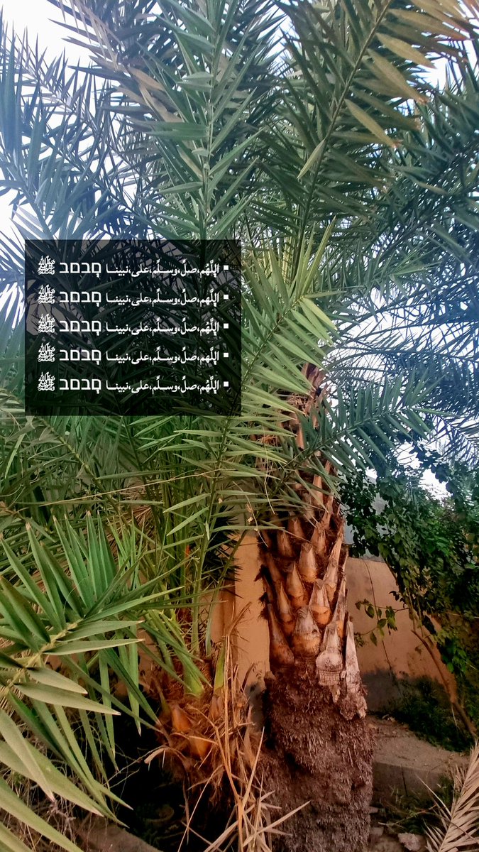 ▪︎ ᷂اللَّهُم،صلِّ،وســـلِّم،على،نبينـــا ᷂םבםב ﷺ
▪︎ ᷂اللَّهم،صلِّ،وســـلِّم،على،نبينـــا ᷂םבםב ﷺ
▪︎ ᷂اللَّهُم،صلِّ،وســـلِّم،على،نبينـــا ᷂םבםב ﷺ
▪︎ ᷂اللَّهم،صلِّ،وســـلِّم،على،نبينـــا ᷂םבםב ﷺ
▪︎ ᷂اللَّهُم،صلِّ،وســـلِّم،على،نبينـــا ᷂םבםב ﷺ