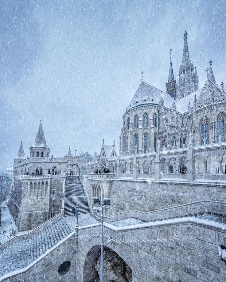 Valentino tweet media