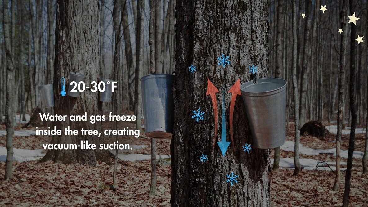 State Foresters tweet media