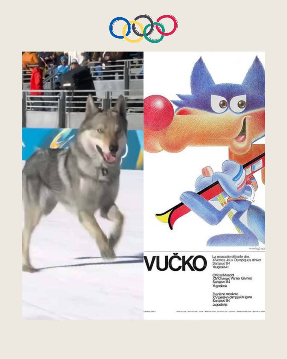 The legend returns 🐺 

#Vucko #Nazgul #Olympics #Sarajevo1984 #milanocortina2026