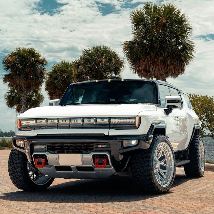 Wayne Lesher tweet media