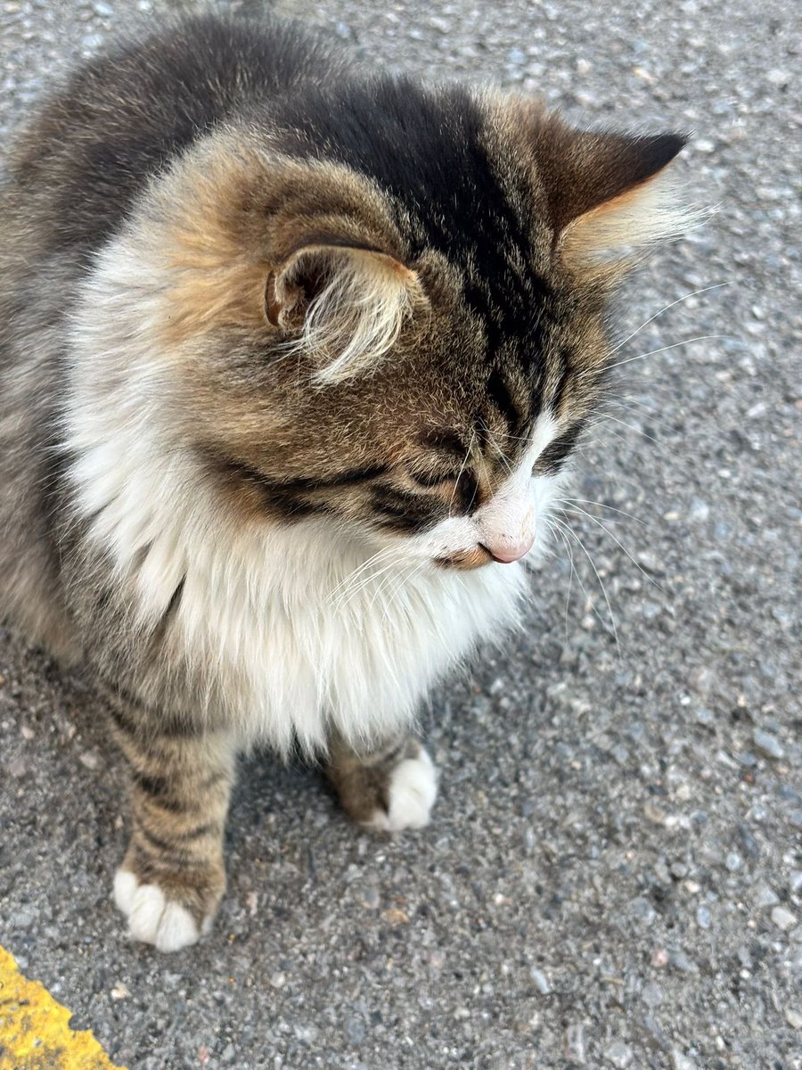 Bugün oğluşa yuva bulamadığımızı söyledik… Çok üzgün… 1 kişi bir sormadı. Bize lütfennnn yuva lütfennnn