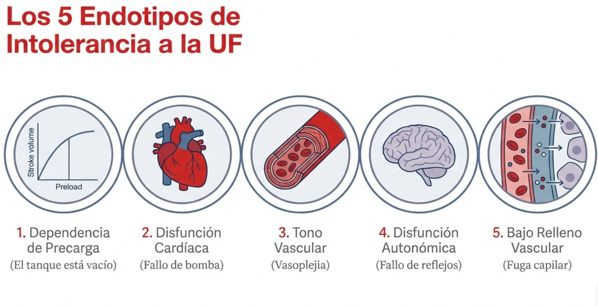 EDL1976's tweet photo. En el nuevo paradigma, la UF debe ser preventiva y guiada por endotipos (ej: fallo cardíaco o bajo relleno vascular) mediante POCUS y pruebas dinámicas de reserva. 
Limitación: Es un marco teórico que requiere validación prospectiva💡 https://t.co/puHoBeAeV1