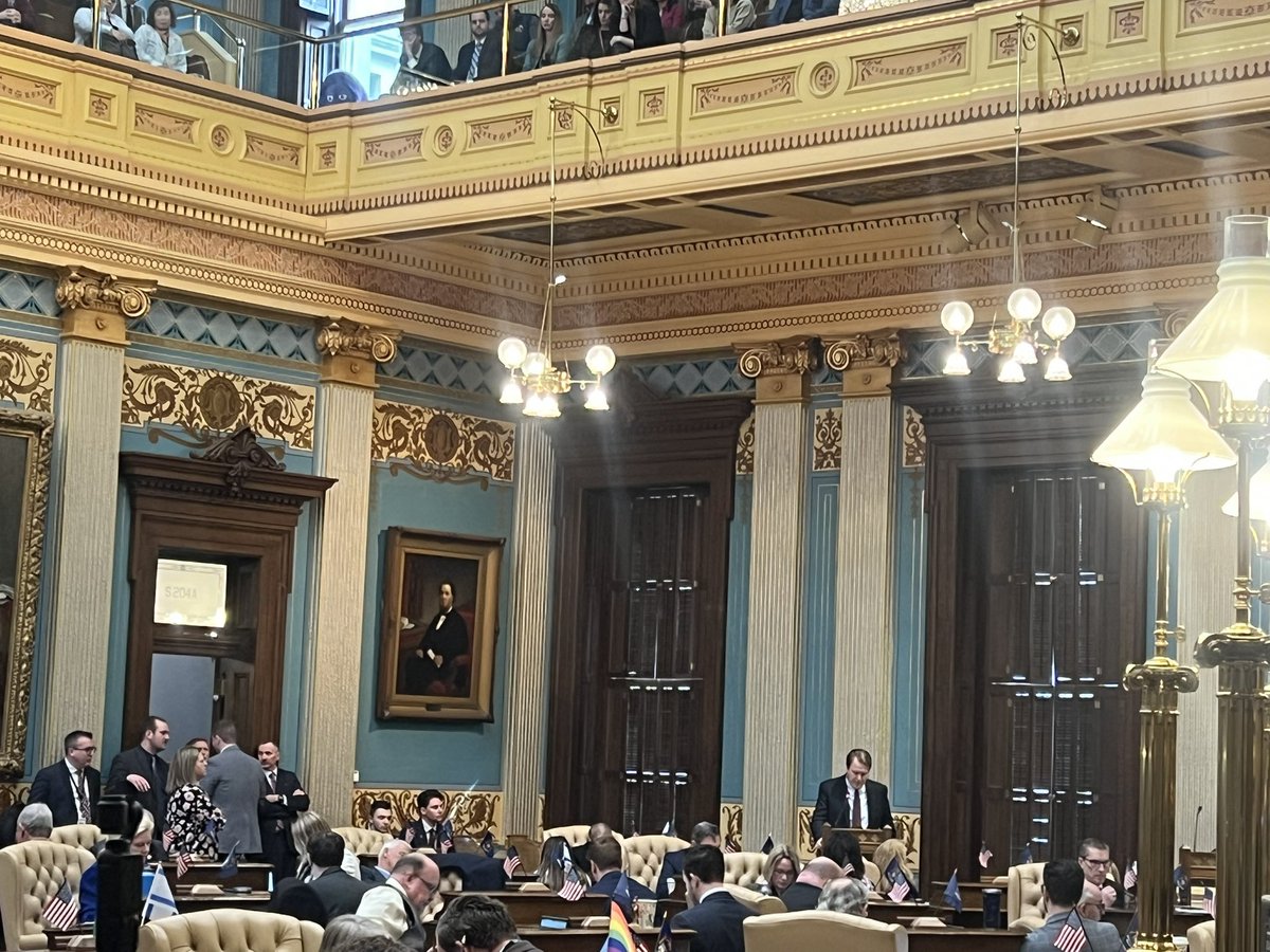 Why am I seeing Israeli flags and gay flags in the Michigan Legislature?