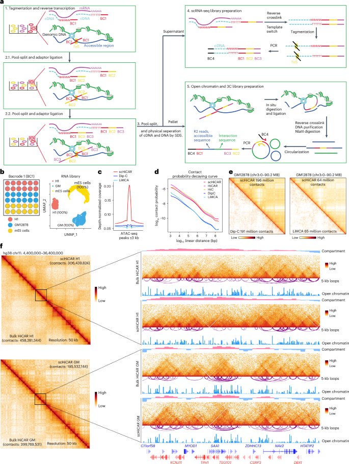 Nature Biotechnology tweet media
