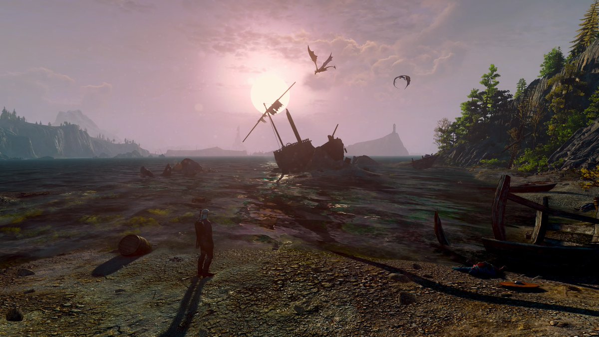 Eva 🌸 tweet media