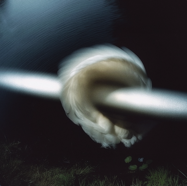 PeerlessMaster's tweet photo. Congratulations Gem Club on the release of the new single Aperture. A beautiful introduction to the upcoming LP Emerald Press, out April 17. Working with you is always a source of inspiration ✨

Mastered here at Peerless Mastering by Jeff Lipton, assisted by Costanza Tinti https://t.co/9XMFWlVthD