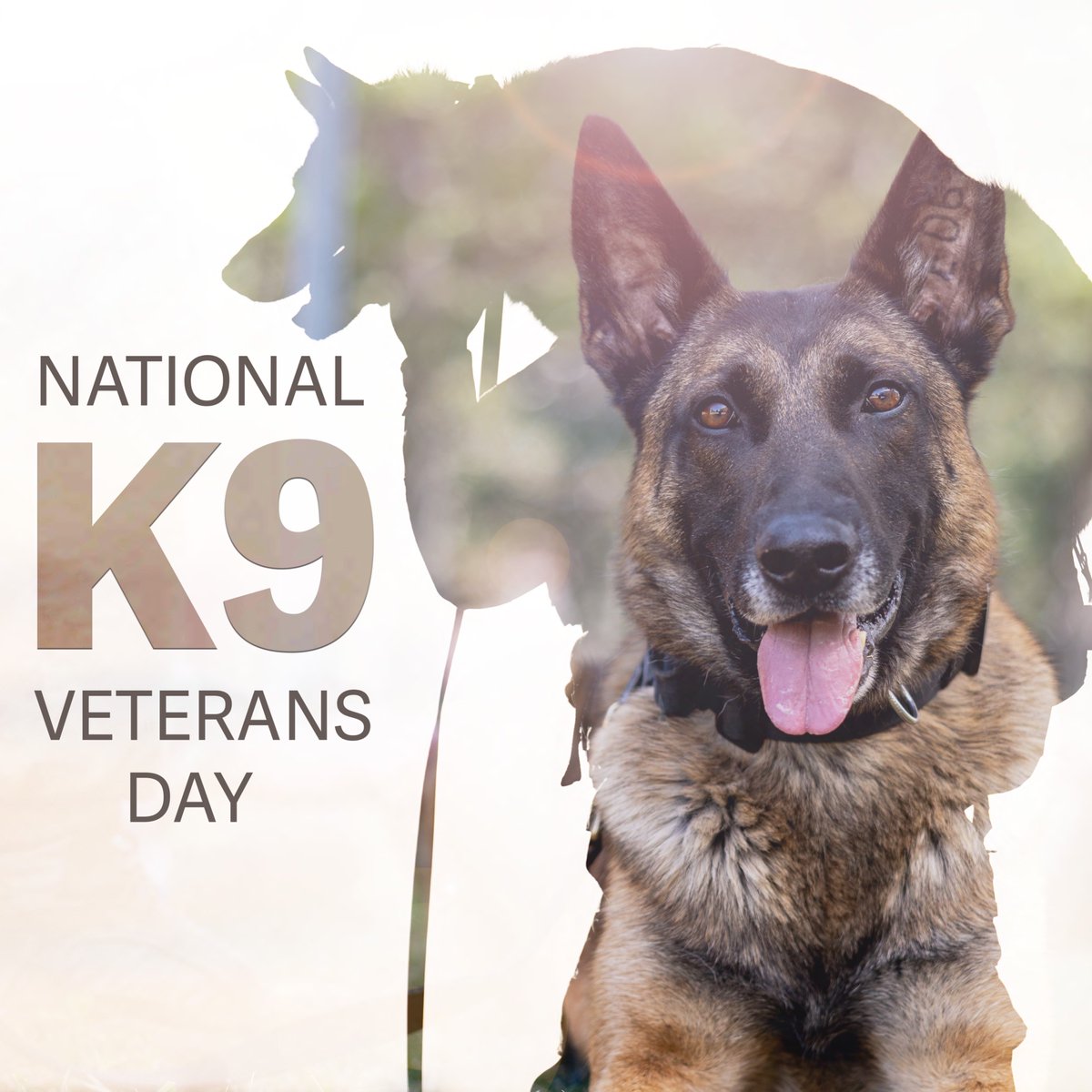 Hurricane Hunters tweet media