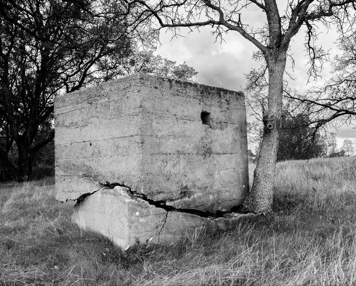 gonenorth's tweet photo. Oak Vs Concrete
Fuji X-T5
Fuji 16-55 https://t.co/vXevmpyxzo