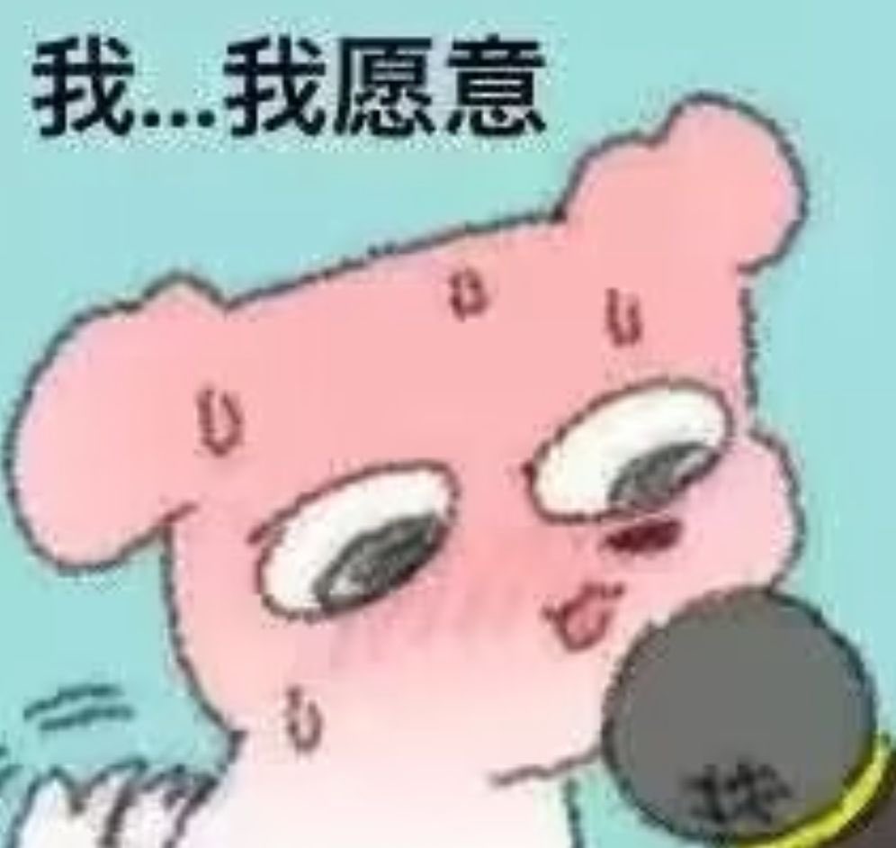 碳酸钙钙鲨 tweet media