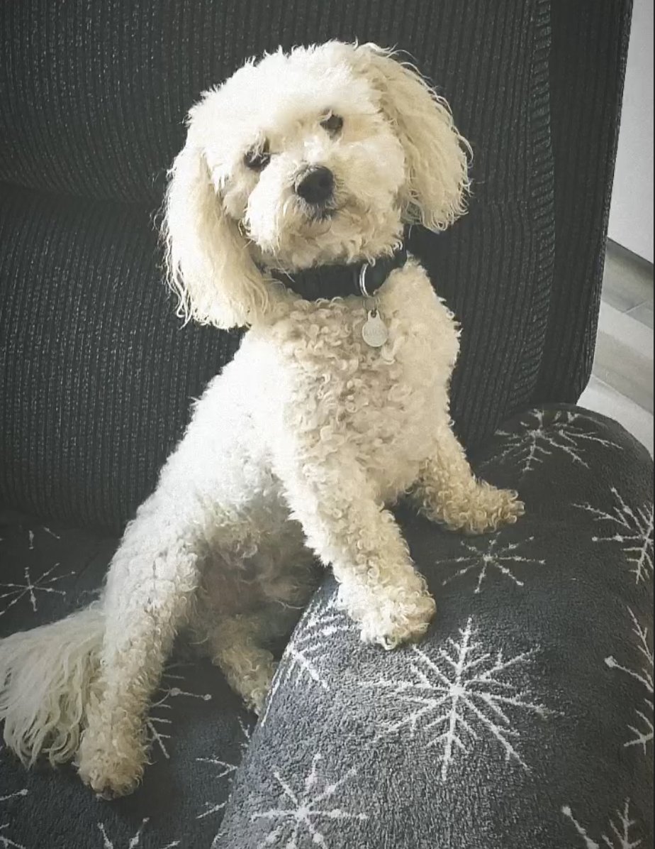 Craig 🌙 tweet media