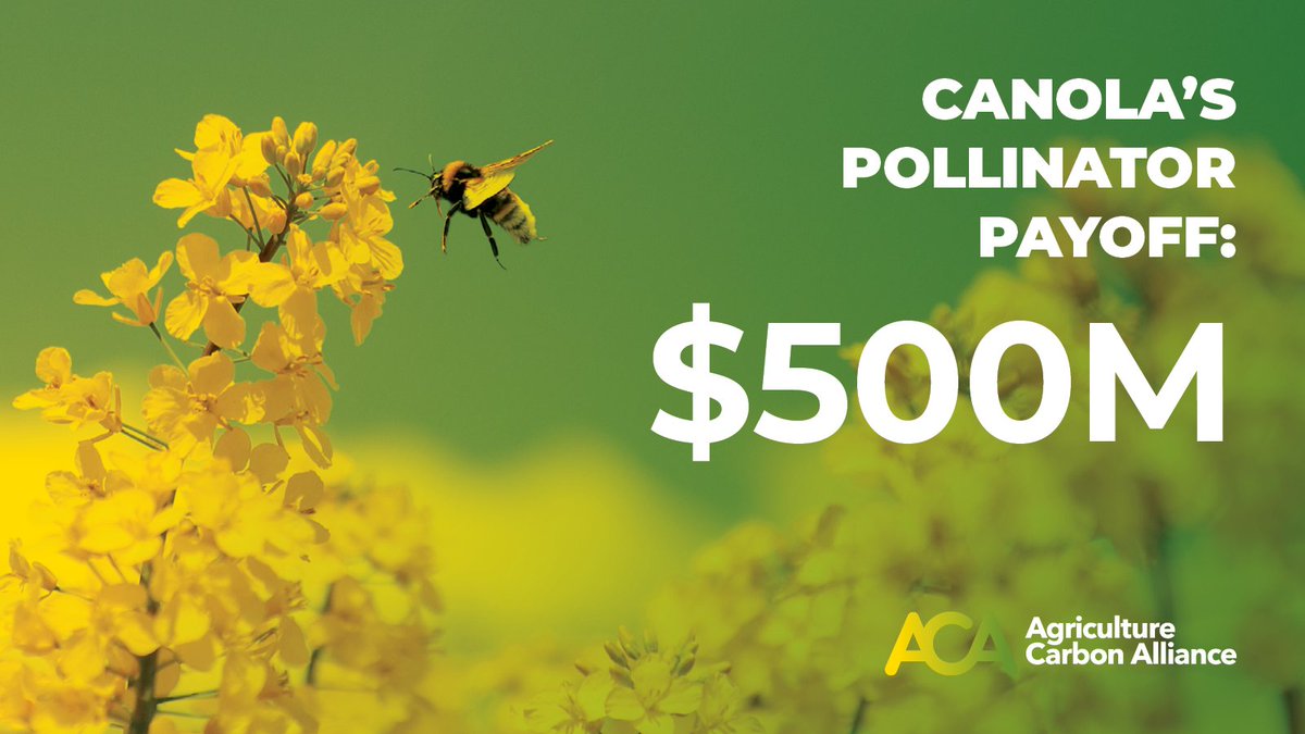 Agriculture Carbon Alliance tweet media