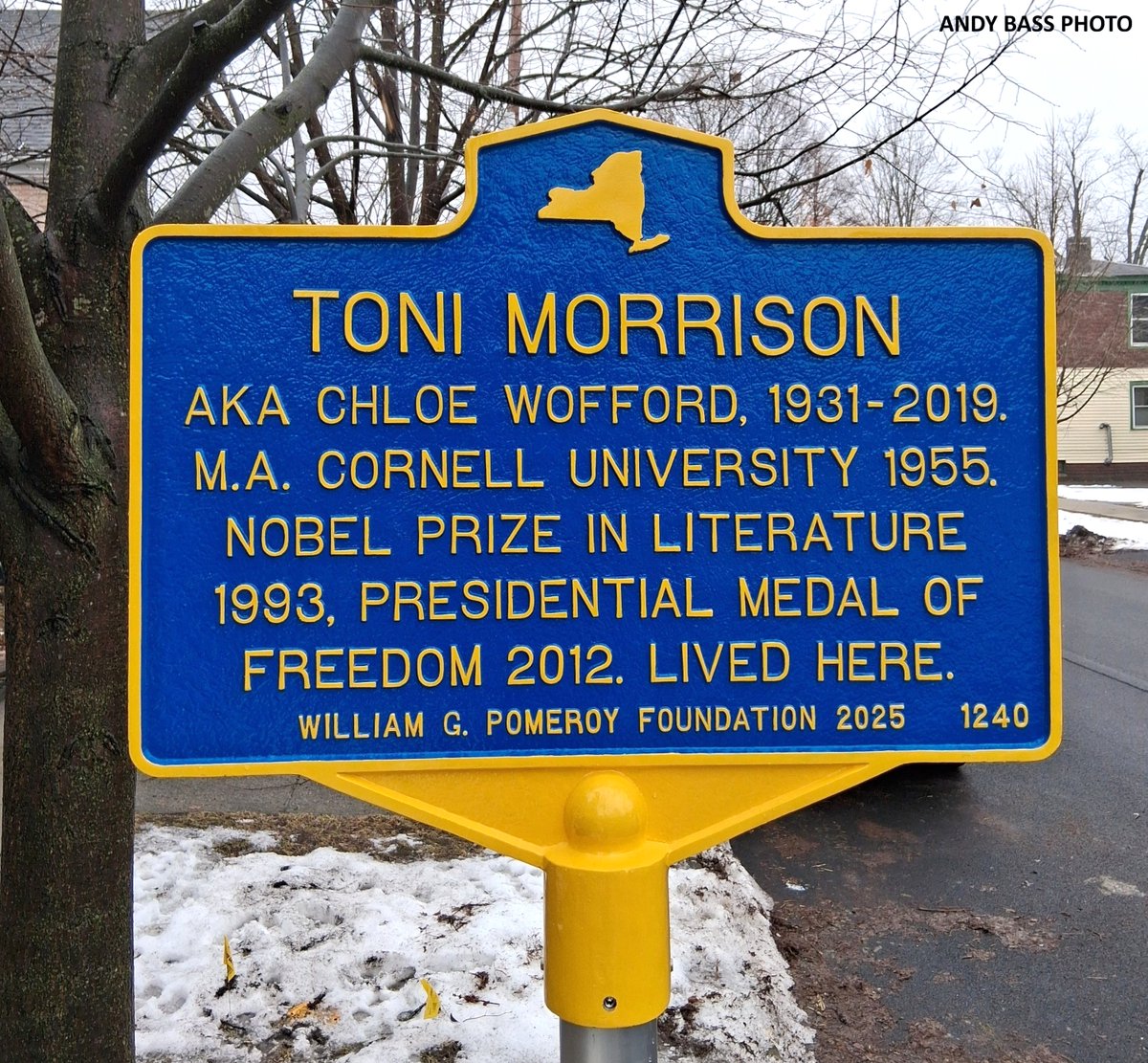 Andy Bass tweet media