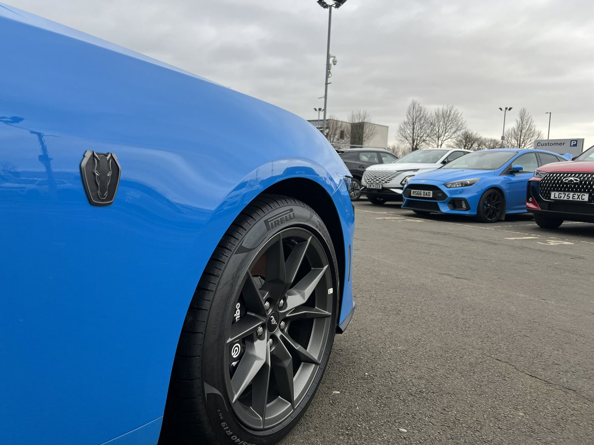 Feeling blue? 🔵
Not <a href="/SparkyLotus/">SparkyLotus</a> but perhaps he approves
