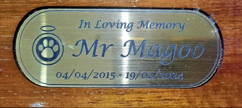 TheeTrainer D🌹M @TheeTrainer tweet media