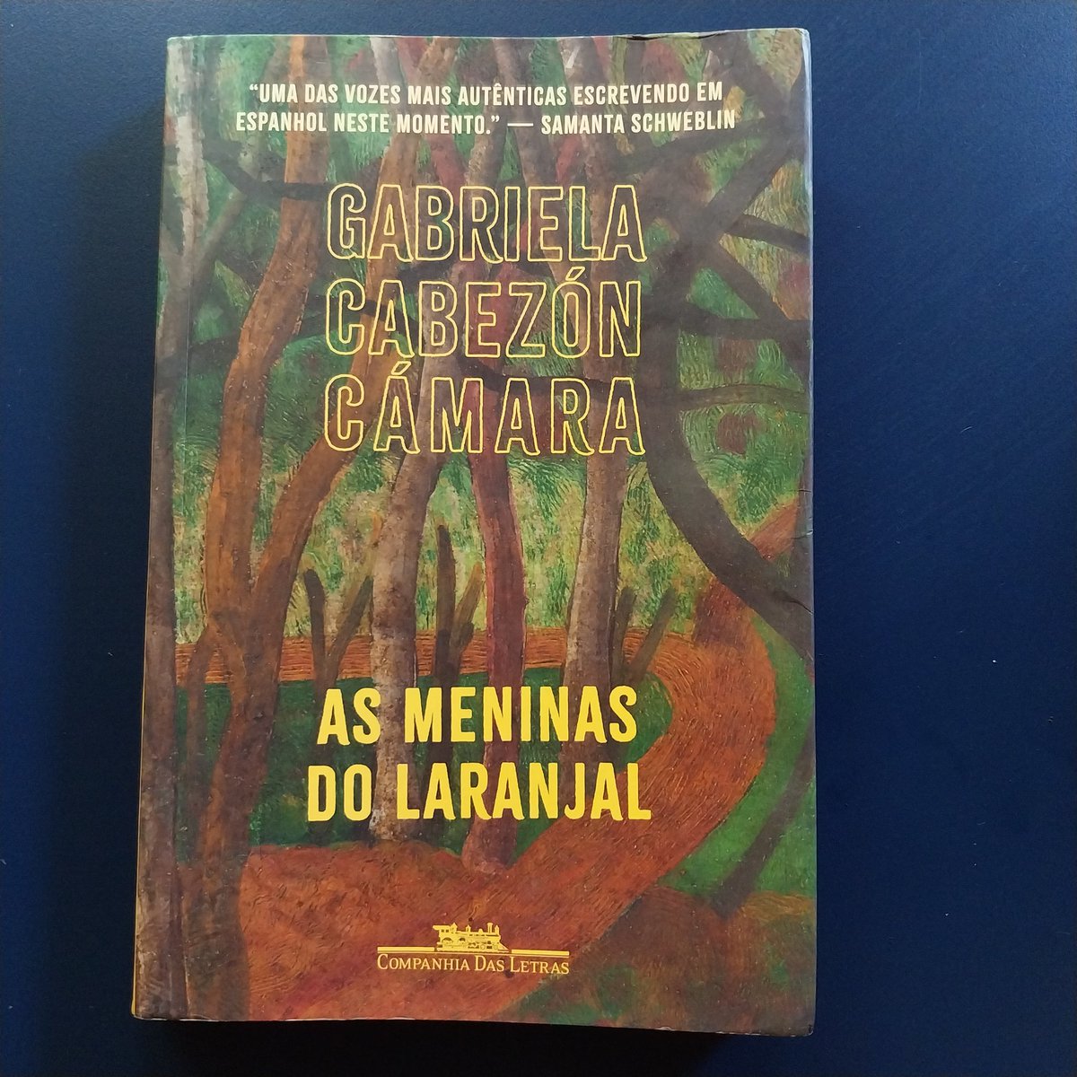 "As meninas do Laranjal"

Por Gabriela Cabezon Camara