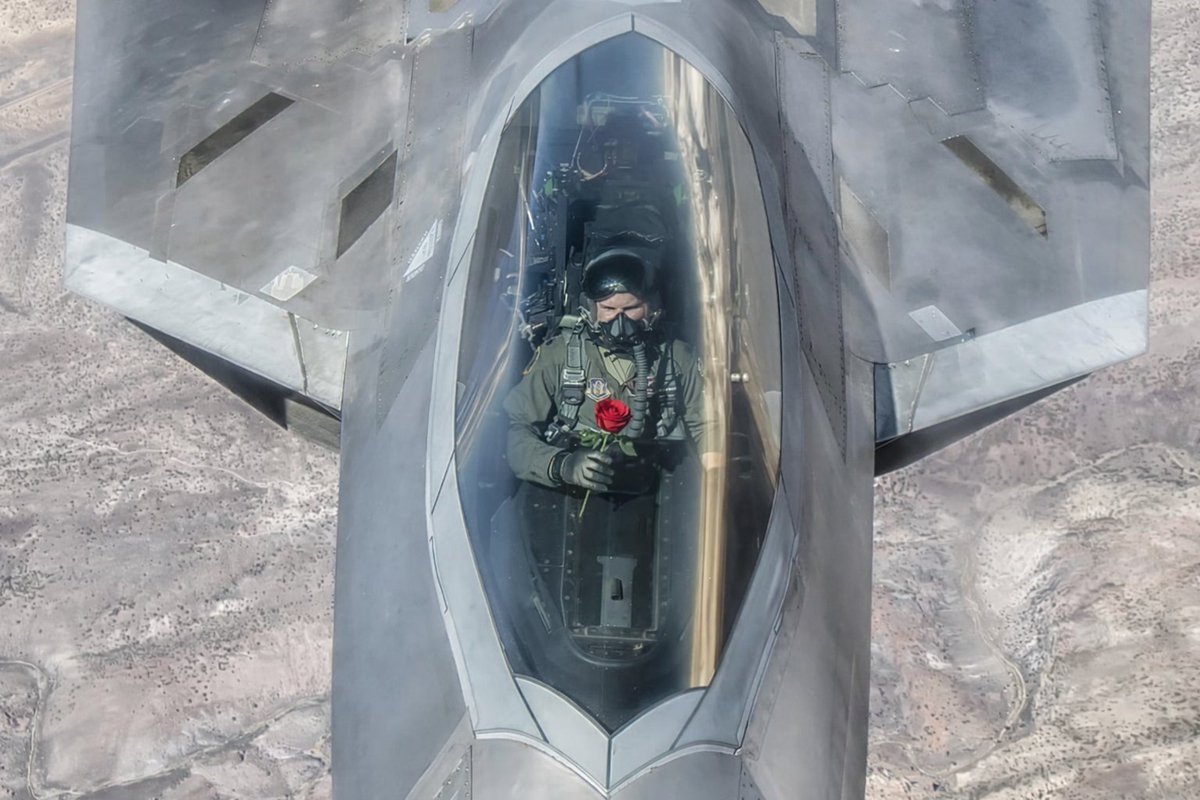 plasticartman2's tweet photo. میخام یه قول بدی بهم؛ که هر F-22 که دیدی، گل بدی بهش😍 https://t.co/q4k6yTCWgY