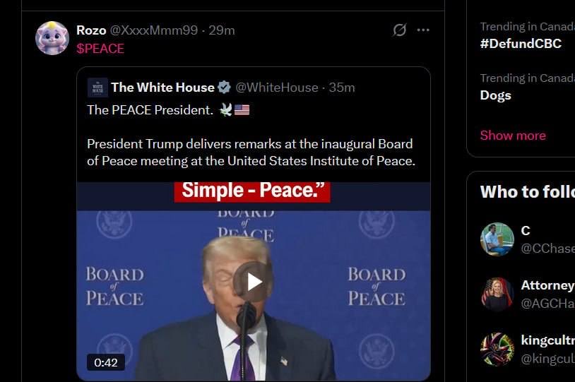 CSI888 | 发财 tweet media