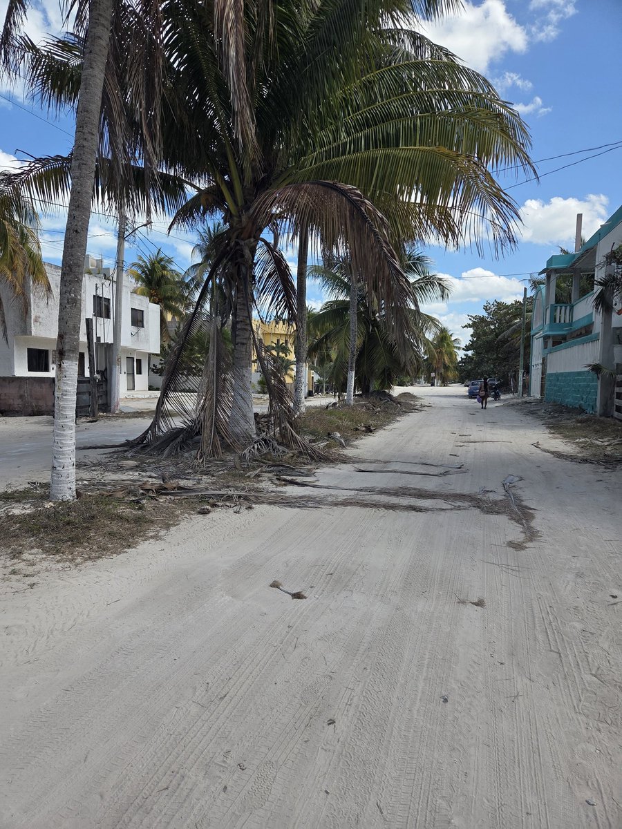 ErickaDuym's tweet photo. I've been traveling to this town in #Mexico for several years. A small, niche #fishing  village aware of it's #ecology 
Lets hope it doesn't change! https://t.co/34PCz5kFSK