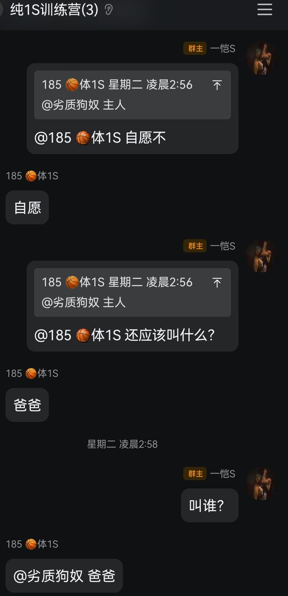 一恺爹S tweet media