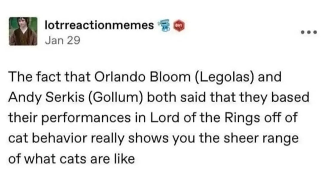 Gollumgram's tweet image. Cats are the best😍🤣