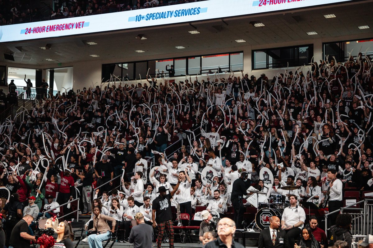 South Carolina Gamecocks tweet media