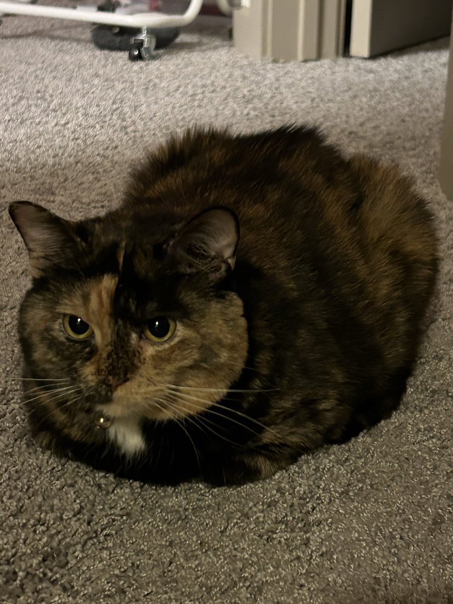 heal yea.  loafing. thraifign.