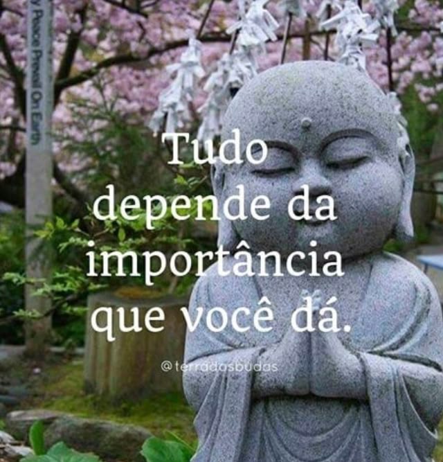 clarezamental_'s tweet image. 